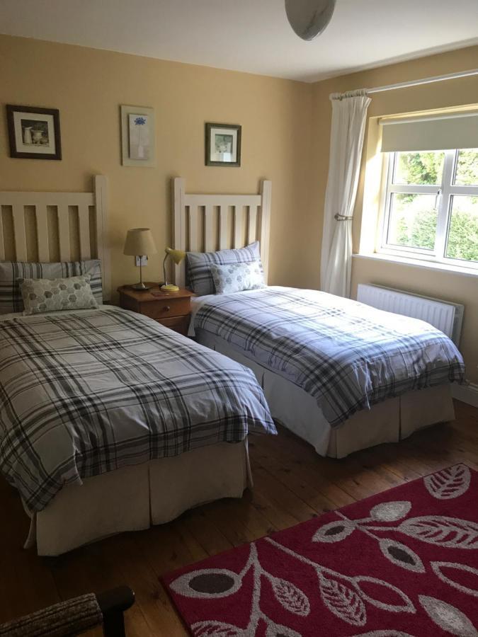 Teac Seain Bar & Bnb Annascaul Экстерьер фото